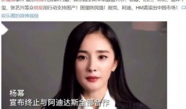 新疆明星爆料新闻事件最新,新疆明星涉嫌违法事件引发社会关注