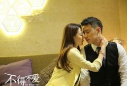 不得不爱全集在线观看,全集剧情回顾，情感纠葛尽收眼底